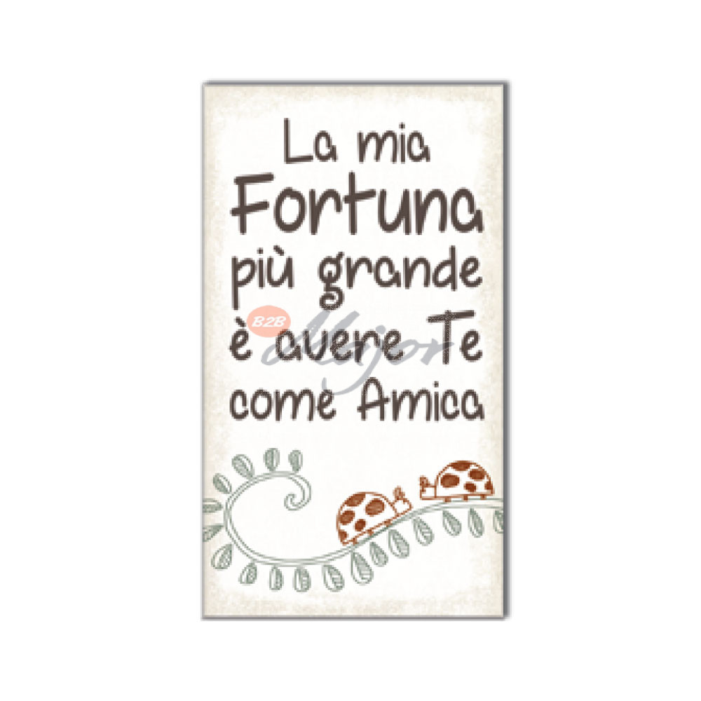Magnete Filosofico Amica