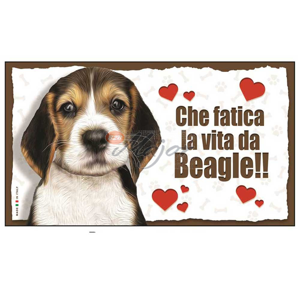 Targa Cane Beagle