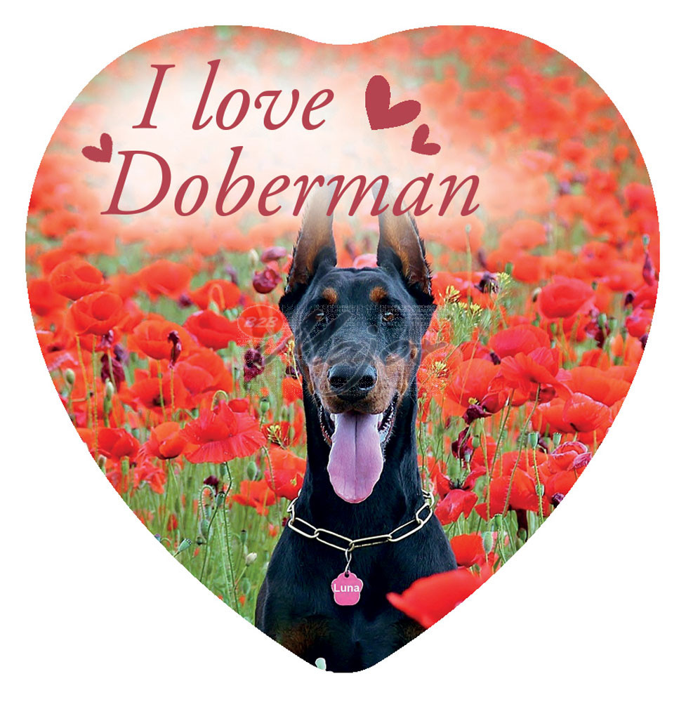 Magnete Love Doberman