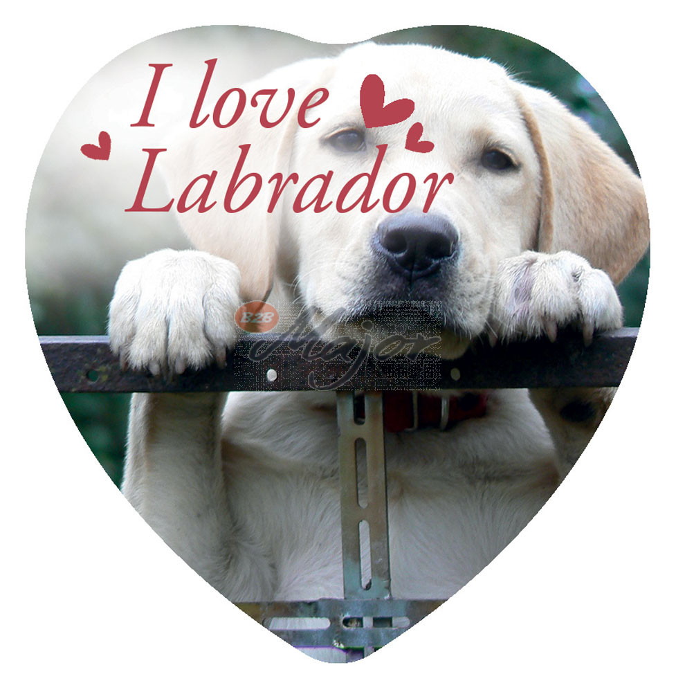 Magnete Love Labrador