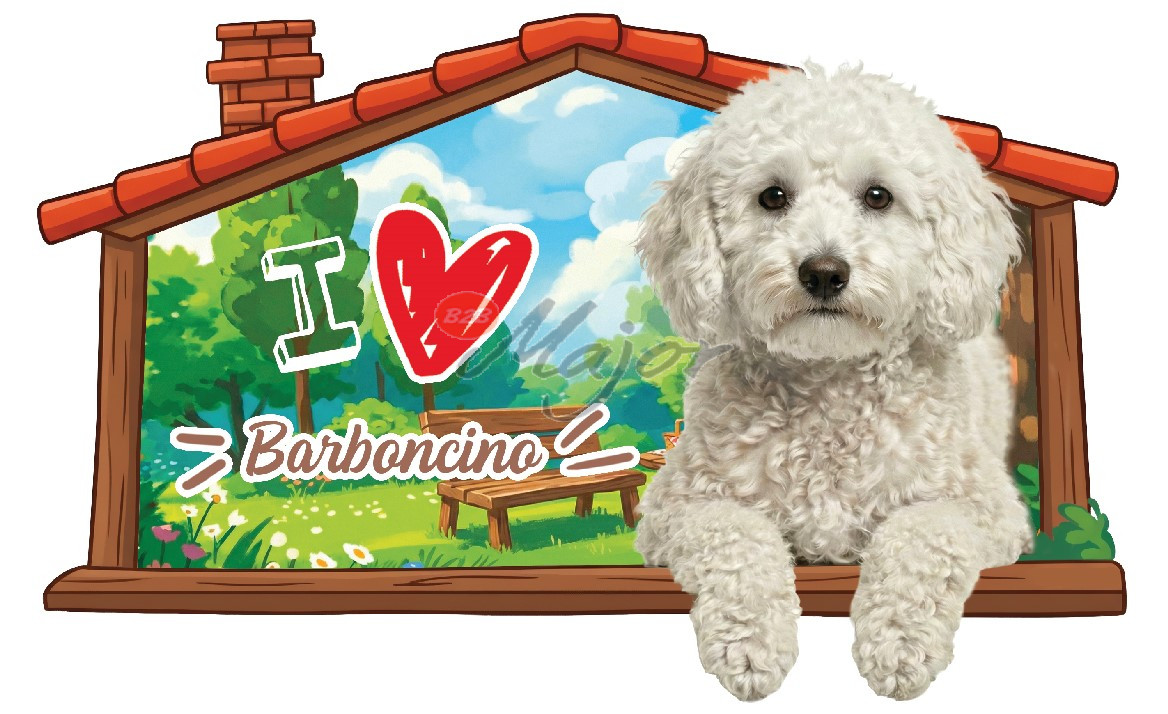 Targa Cuccia Barboncino