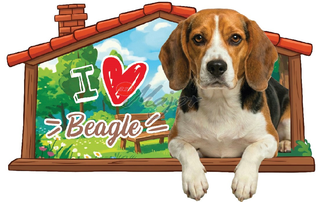 Targa Cuccia Beagle