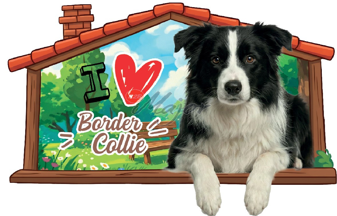 Targa Cuccia Border Collie