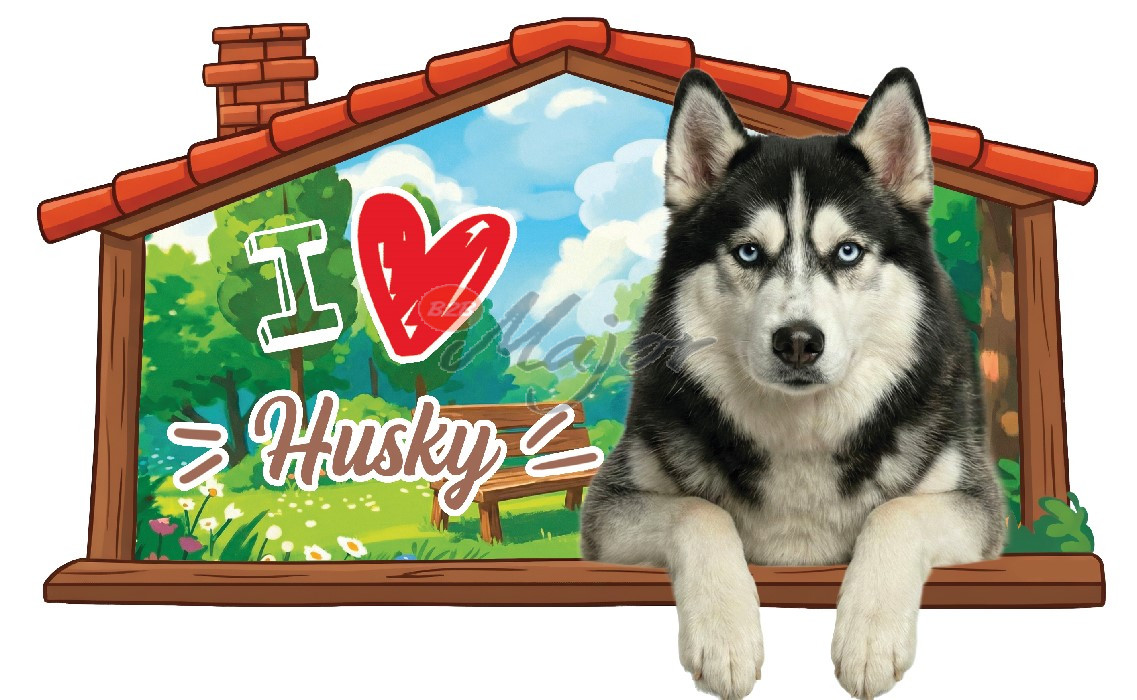 Targa Cuccia Husky