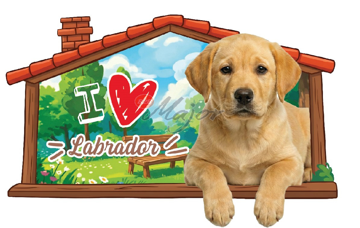 Targa Cuccia Labrador B.