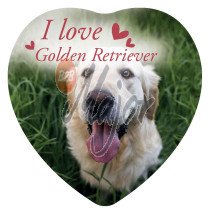 Magnete Love Golden Retriver