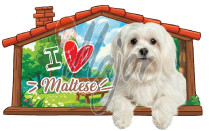 Targa Cuccia Maltese