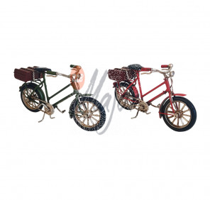 Metallo Bicicletta Italia