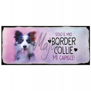 Targa Metallo Border Collie