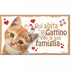 Targa Gatto