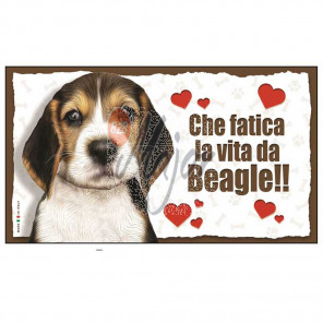 Targa Cane Beagle