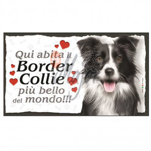 Targa Cane Border Collie