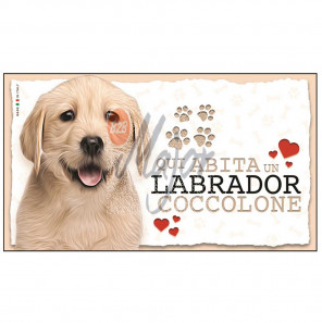 Targa Cane Labrador