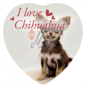 Magnete Love Chihuahua