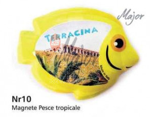 Magnete Pesce Tropicale