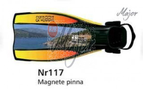 Magnete Pinna
