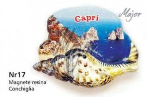 Magnete Conchiglia
