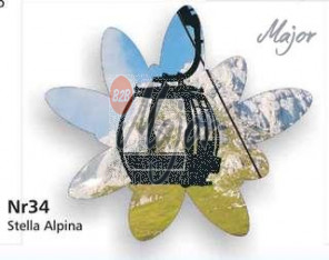 Magnete MT Stella Alpina
