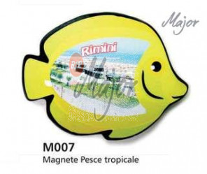 Magnete Pesce Tropicale