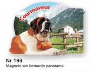 Magnete MT San Bernardo