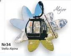 Magnete MT Stella Alpina